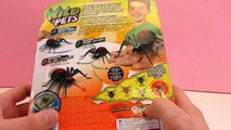Wild Pets Deutsch – Spinne im Haus – Gruseliges Spielzeug zum erschrecken und lachen Unbox