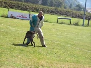 attaque de face 3