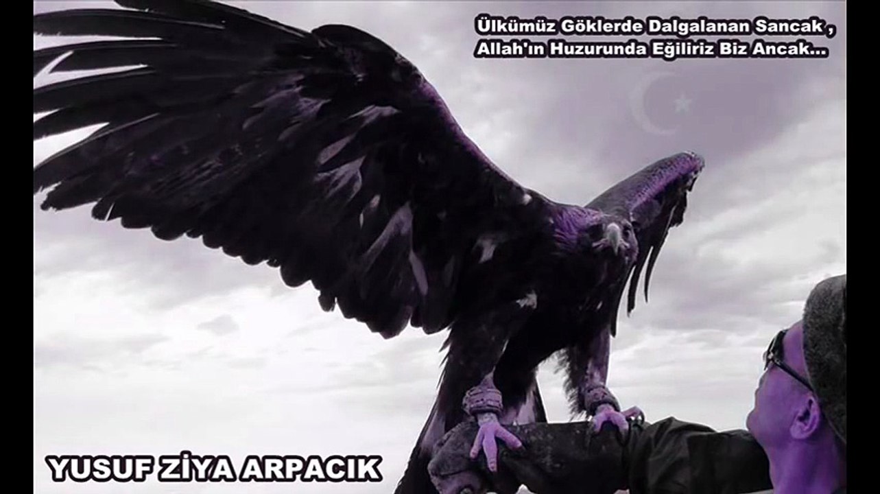 Mehmet Borukcu - Ülkücüler