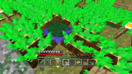 MINECRAFT Sobrevivente Casa das BATATAS 011