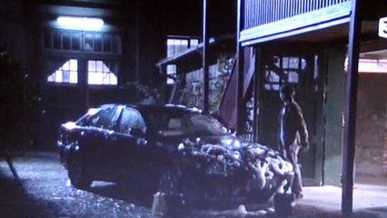 Kommissar Rex : "Le Lavage de Voiture avec Mark"