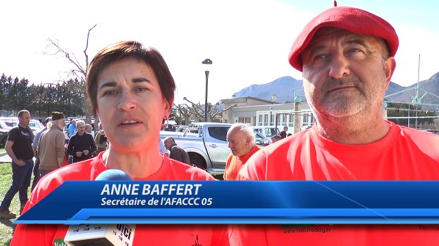 Hautes-Alpes : les chiens en compétition pour la finale régionale du concours des 3 Vallées