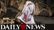 Illegal Pet Viper Bites Staten Island Man, Who Cuts Off It's Head