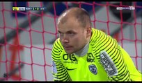 All Goals & Highlights HD - Nancy 1-2 Lille - 11.03.2017