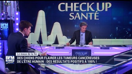 Le "maux" de la fin: Des chiens pour flairer les tumeurs cancéreuses de l'être humain - 11/03
