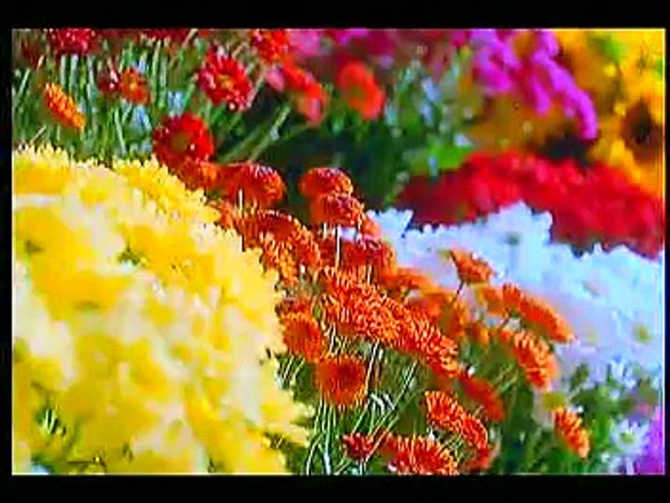 فلم عَمر و سلمى - الجزء الاول