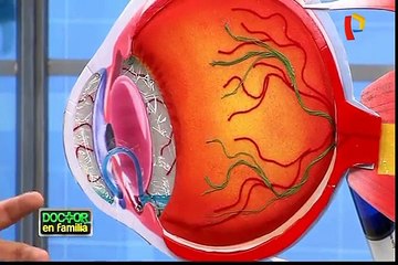 Doctor en Familia: la importancia del Papanicolau para prevenir el cáncer