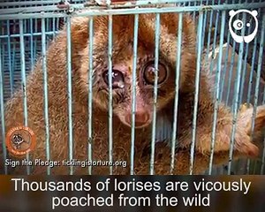 Please-share-and-support