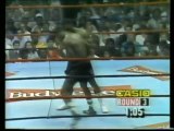 Michael Nunn vs Dale Jackson (11-09-1987) Full Fight