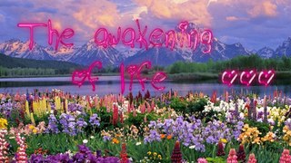 The awakening of life.- El despertar de la vida