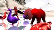 Человек-паук и Медведь учим цвета для малышей | Цвет животных изучение цветов для детей стишки