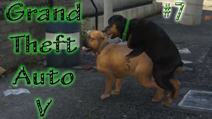 GTA 5 # 7 ➲ Chop 2 ➤ Gay Dog Sex..?..!