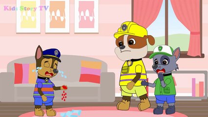 Paw Patrol Baby Being that when Pursuing Spiders in the Home ⒻⓊⓁⓁ Episodes! Paw Patrol car