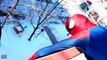 Spiderman vs Batman SUMO BATTLE Superhero Movie in Real Life Kids toys Funny video frozen