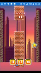 JOGANDO FLAPPY HOUSE