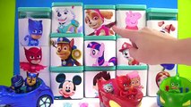 Huge Paw Patrol & Nick Disney Jr Blind Box Toy Surprise Show! PJ Masks, Peppa & Mickey