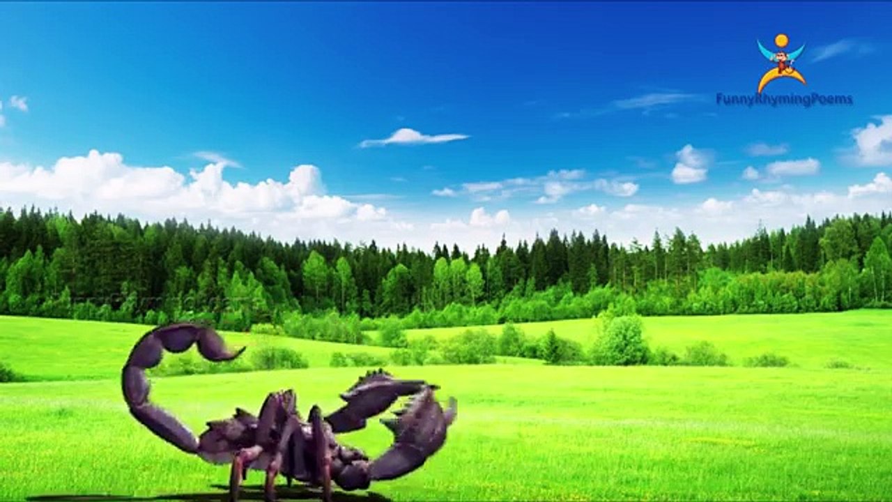 Scorpion Finger family 3d rhyme | Nursery Children Finger Family song