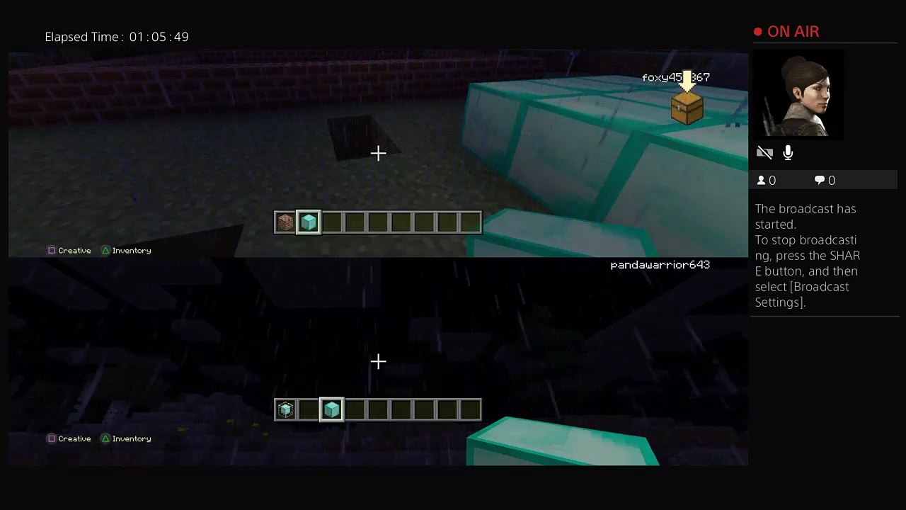 Minecraft (4)