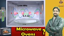 How do Microwave Ovens Work Physics? are Microwaves Safe for Humans?
