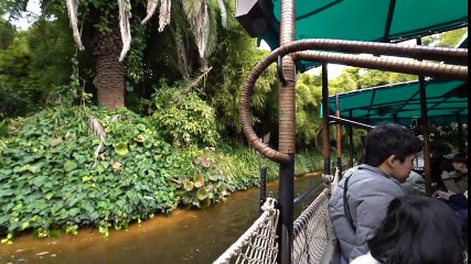 【4K】 TDL 新ジャングルクルーズ/Jungle Cruise: Wildlife Expeditions