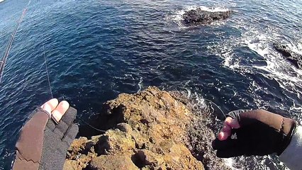 【伊豆の地磯】下田市『三穂ヶ崎』編　後編　今年の釣果はどうだ！