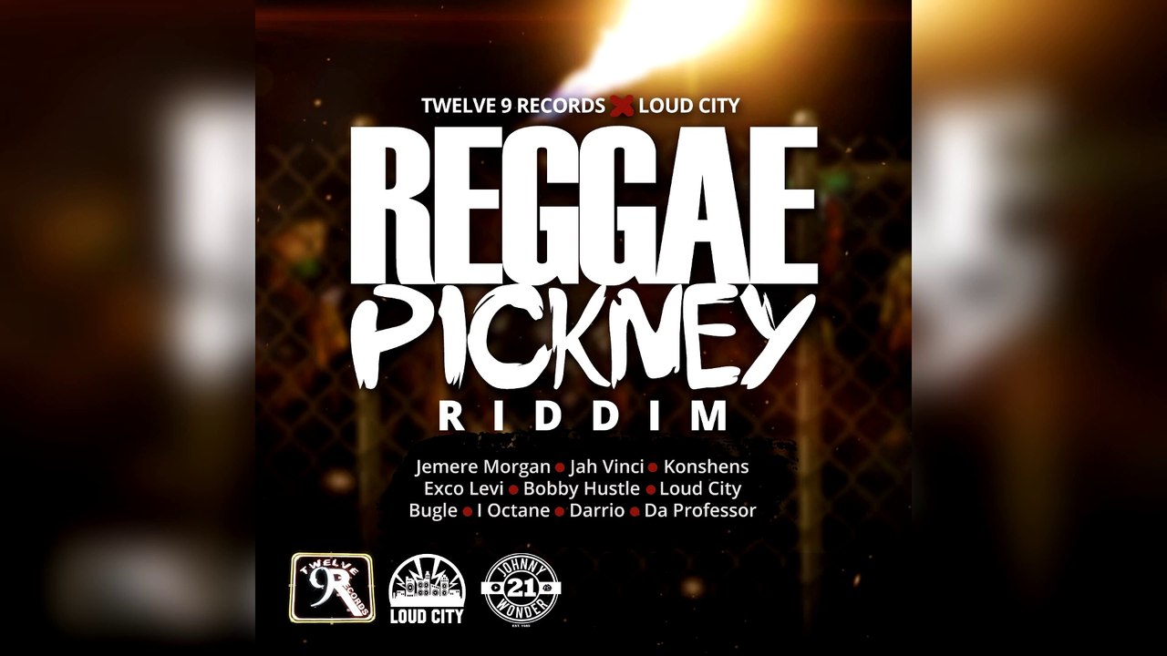 Selekta Faya Gong - Reggae Pickney Riddim mix promo 2017