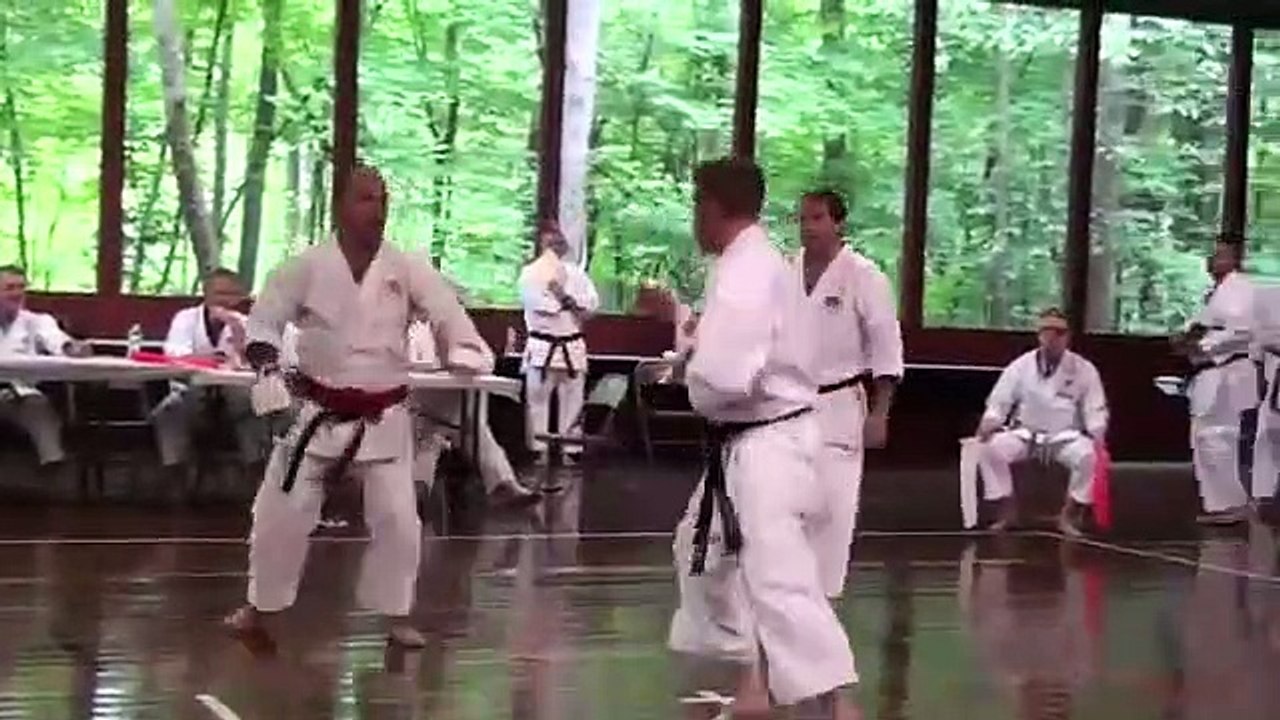 空手 組手 Shotokan Karate Master Camp 2011 Men's black belt kumite