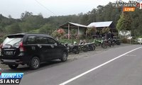 Wisata Petik Buah Stroberi di Berastagi