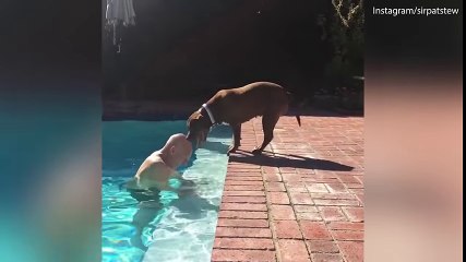 Patrick Stewart joue avec son chien