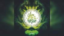 Selekta Faya Gong - Lion On The Rise Riddim mix promo 2017