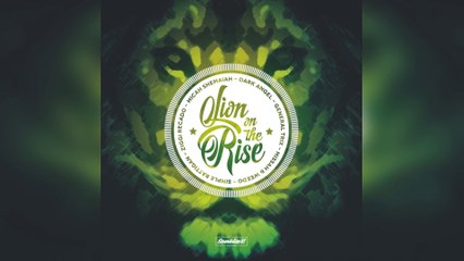 Selekta Faya Gong - Lion On The Rise Riddim mix promo 2017