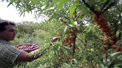 INHABIT: A Permaculture Perspective - KICKSTARTER TRAILER