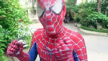 Spiderman SAW a Giant Frog! Superheroes Fun Venom Joker Hulk Spiderman Avenger Frog Jump M