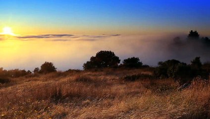 Sunset.Easter Eggs Hidden in Android mobiles