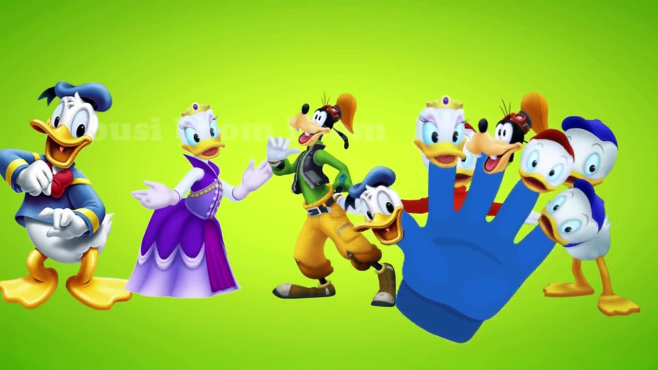 Donald Duck Finger Family with Colors | Nursery Rhymes Playlist with Funny Disney Donald C