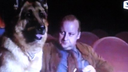 Kommissar Rex : "Rex au cinema "