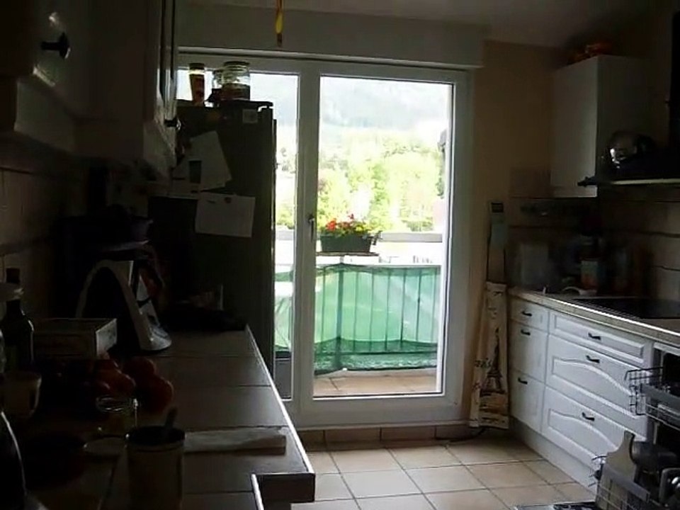 Un oiseau qui veut rentrer