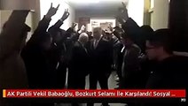 AK Partili Vekil Babaoğlu, Bozkurt Selamı İle Karşılandı! Sosyal Medyada Gündem Oldu