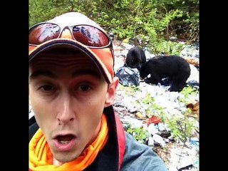 【自撮り危険】クマの恐ろしさがわかっていない愚かな人間たち【閲覧注意】