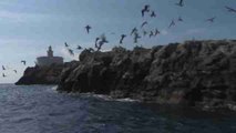 Cabo de Palos, un santuario para el buceo, la pesca artesanal y el turismo