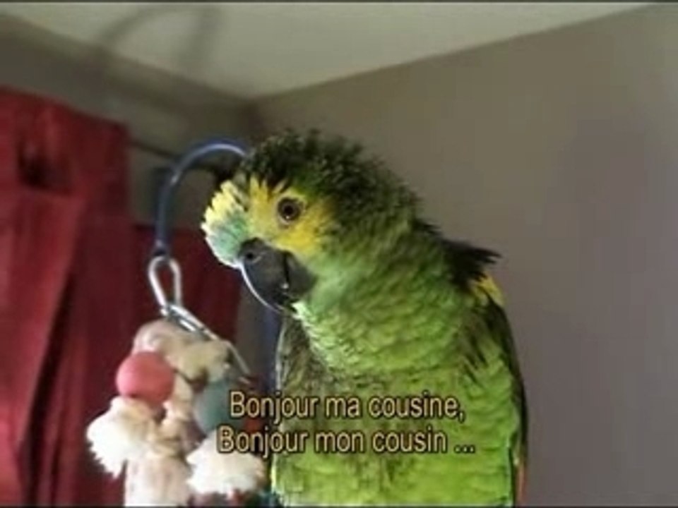 Tooki  15 mois (version 2)