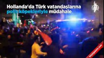 Hollanda'da Türk vatandaşlarına polis köpekleriyle müdahale