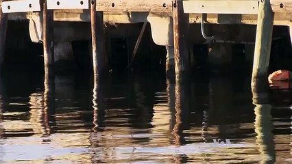 President Trump, Military Split on Climate Change