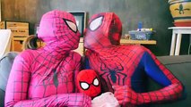Pregnant Pink Spidergirl & Spiderman w/ Spiderbaby & Spidergirl - Fun Superhero in Real Li