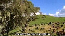 Bez tytułu