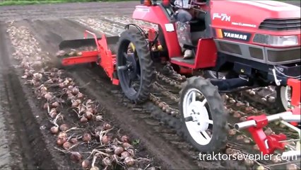 Soğan Hasat Makinesi