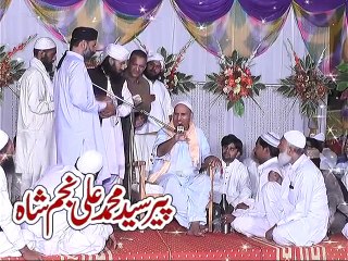 Hazrat Allama Molana Syed Muhammad Ali Najam Shah part 3