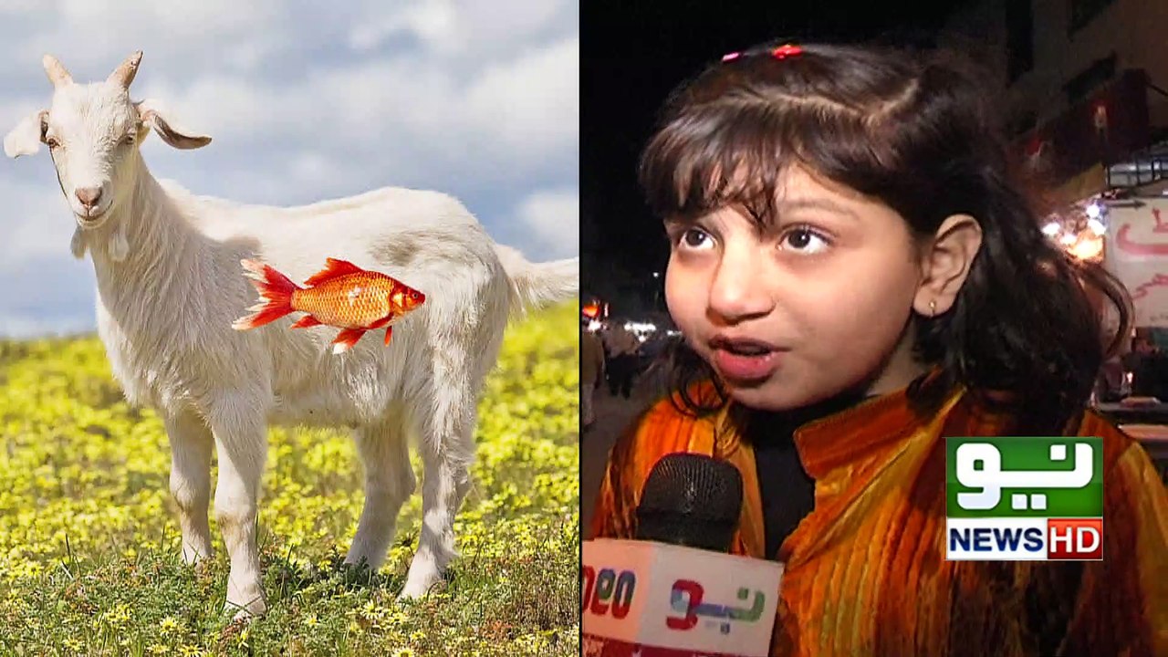 Are you ever eat " DESI BAKRAY KI MACHILI" ??