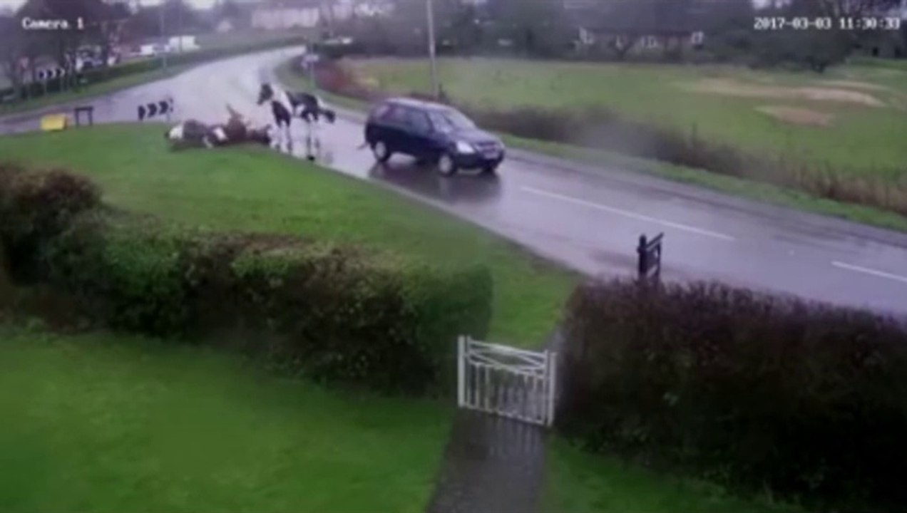 Un chauffard renverse deux cavaliers en plein virage