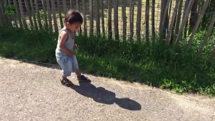 mals Licking Windows Compilation